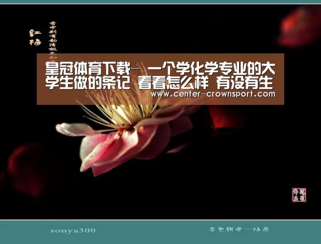 皇冠体育下载