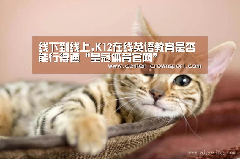 线下到线上,K12在线英语教育是否能行得通“皇冠体育官网”(图2) 皇冠体育下载