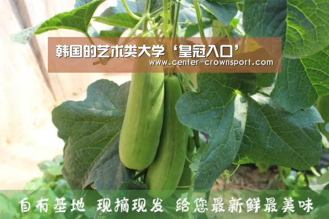 皇冠体育网址