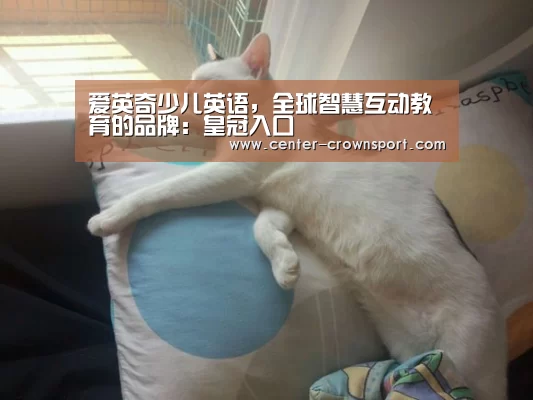 皇冠体育网址
