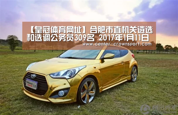 【皇冠体育网址】合肥市直机关遴选和选调公务员309名 2017年1月11日开始报名(图4) 皇冠体育下载