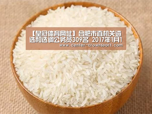 【皇冠体育网址】合肥市直机关遴选和选调公务员309名 2017年1月11日开始报名(图2) 皇冠体育下载