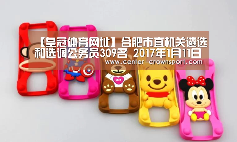 【皇冠体育网址】合肥市直机关遴选和选调公务员309名 2017年1月11日开始报名(图3) 皇冠入口